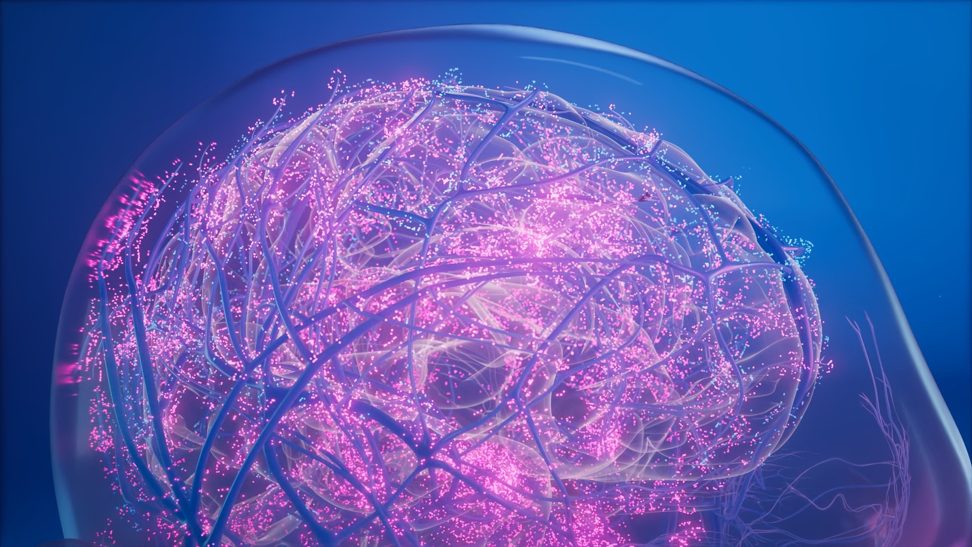 3d animation of Neon pink particles active in the brain on blue background.jpg